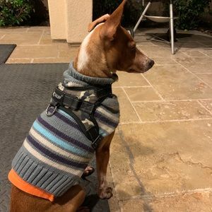 Meet your Posher, Jenny